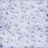 PAPIER_BLUE_DAISIES.jpg image by maynerdfamily