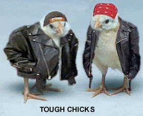 tough chicks