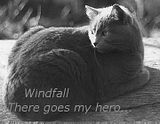 windfall.jpg image by Vaporcloud
