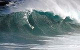 Jaws.jpg image by simplisticdts